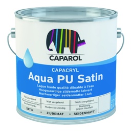CAPACRYL Aqua PU Satin